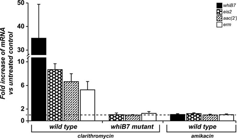 FIG 3