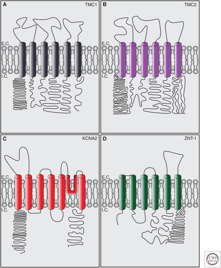 Figure 4.