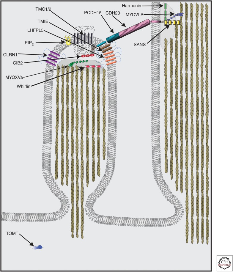 Figure 5.