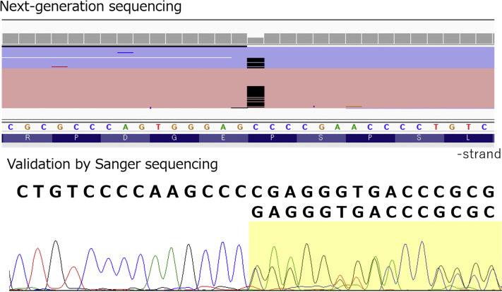 Figure 6