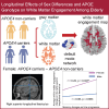 Graphical Abstract