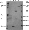 FIG. 4.