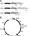 FIG. 1.