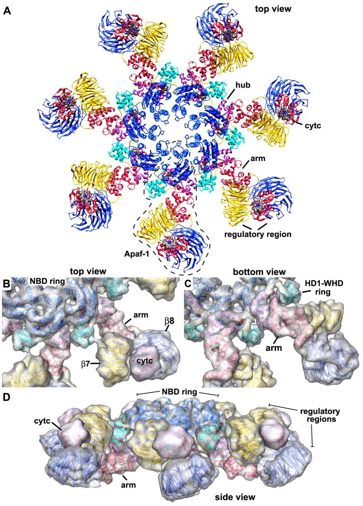 Figure 5