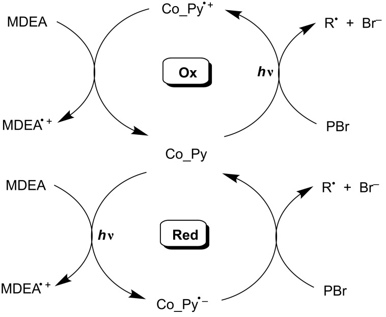 Scheme 7