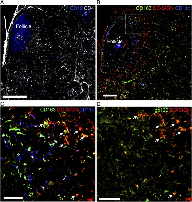 Figure 2—figure supplement 2.