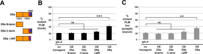 FIGURE 7.