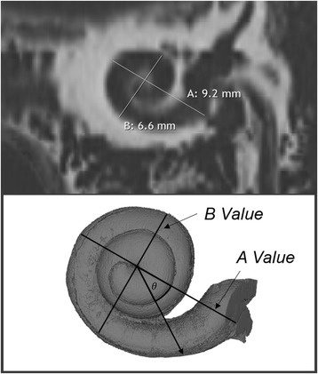 Fig. 5