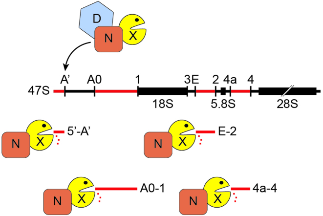 Figure 7.