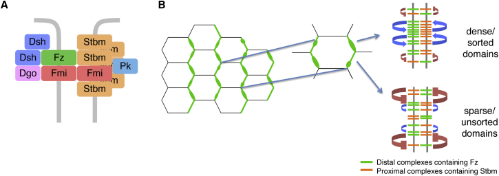 Figure 1