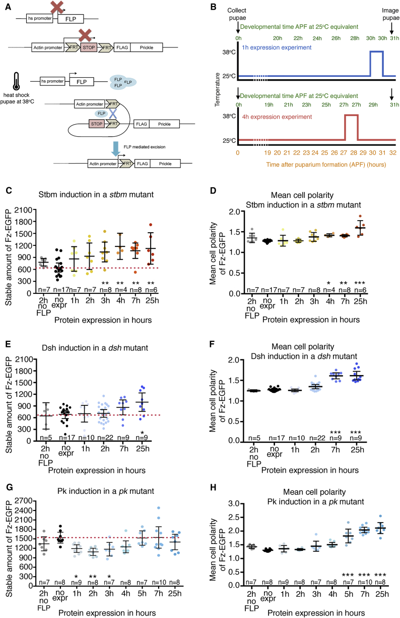 Figure 4