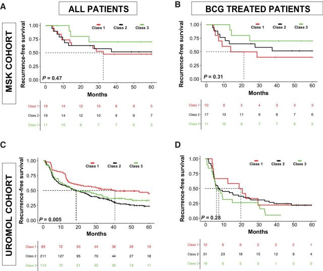 Figure 2. RFS stratified by UROMOL subclass. A, Entire MSK cohort. B, MSK patients treated with BCG. C, Entire UROMOL cohort. D, UROMOL patients treated with BCG.