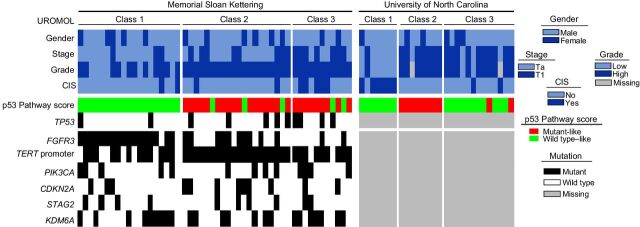 Figure 1. Heatmap of patient and tumor genetic characteristics according to cohort and UROMOL subclass.