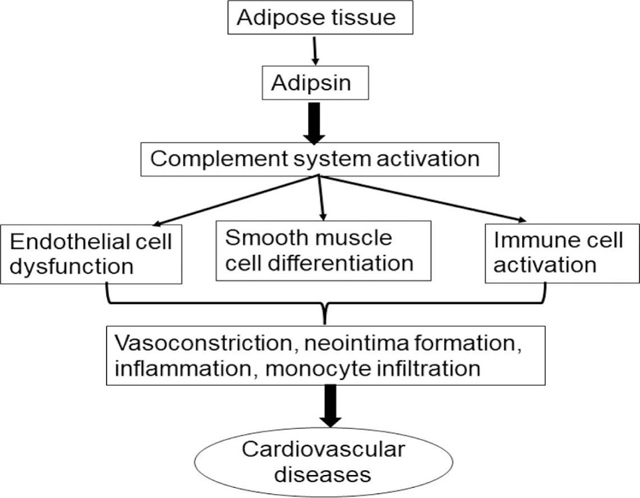 graphic file with name nihms-1954130-f0003.jpg