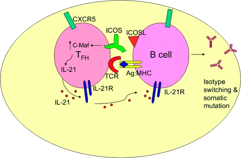 Fig. 1.