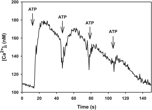 Figure 5.