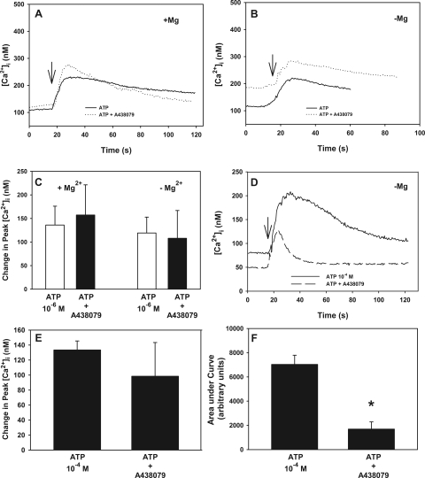 Figure 11.