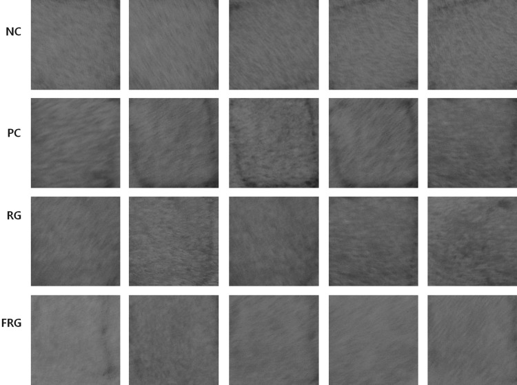 FIG. 3.