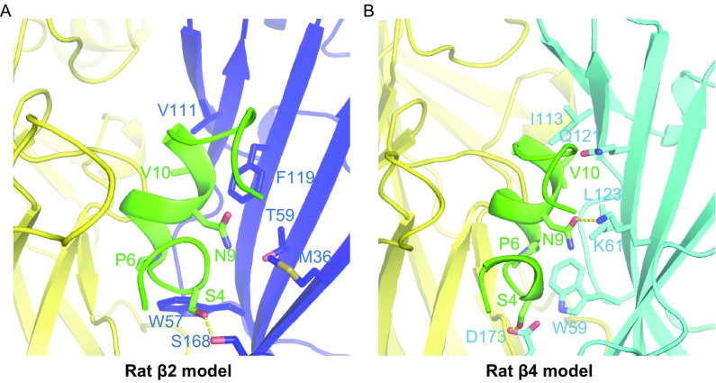 Figure 5