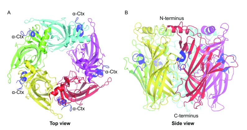 Figure 1