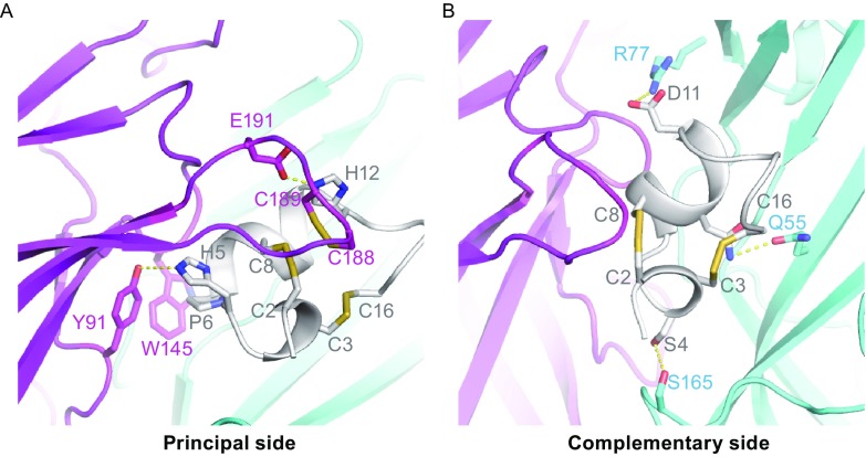 Figure 2