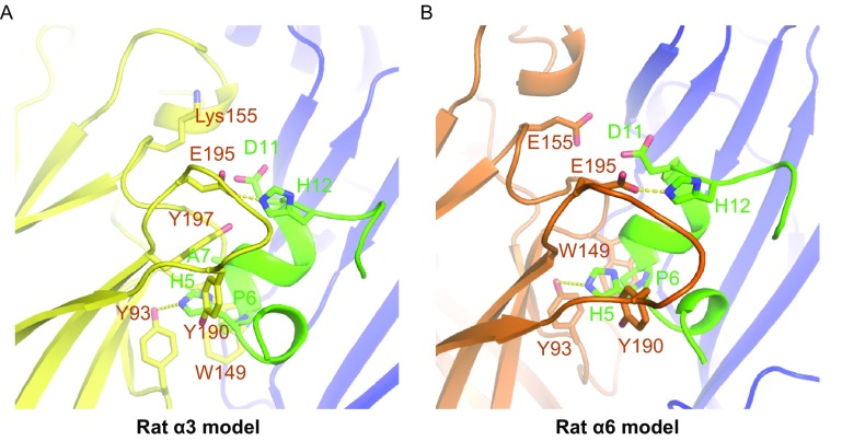 Figure 4