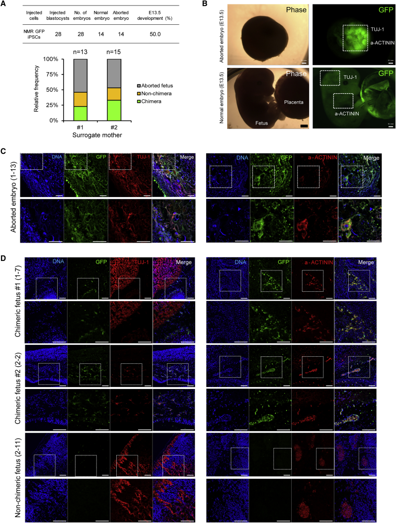 Figure 4