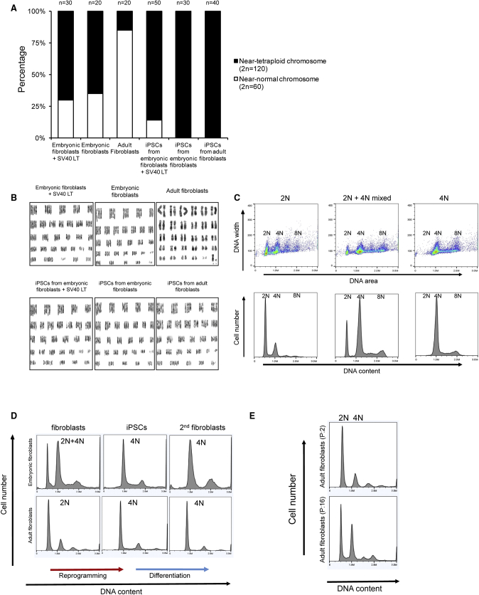 Figure 3