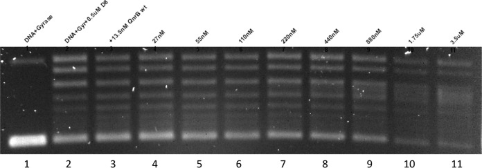 FIG 3