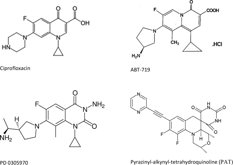 FIG 1