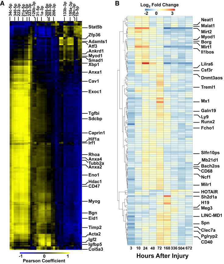 Figure 2