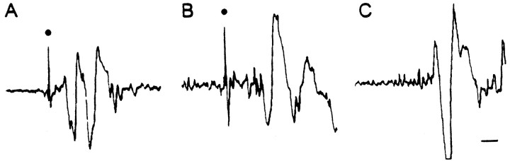 Fig. 10.