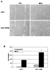 FIG. 9
