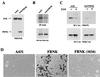 FIG. 8