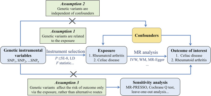 FIGURE 1