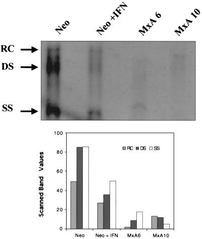 FIG. 3