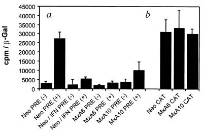 FIG. 5