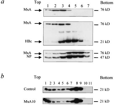 FIG. 6