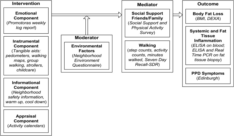 Fig. 1: