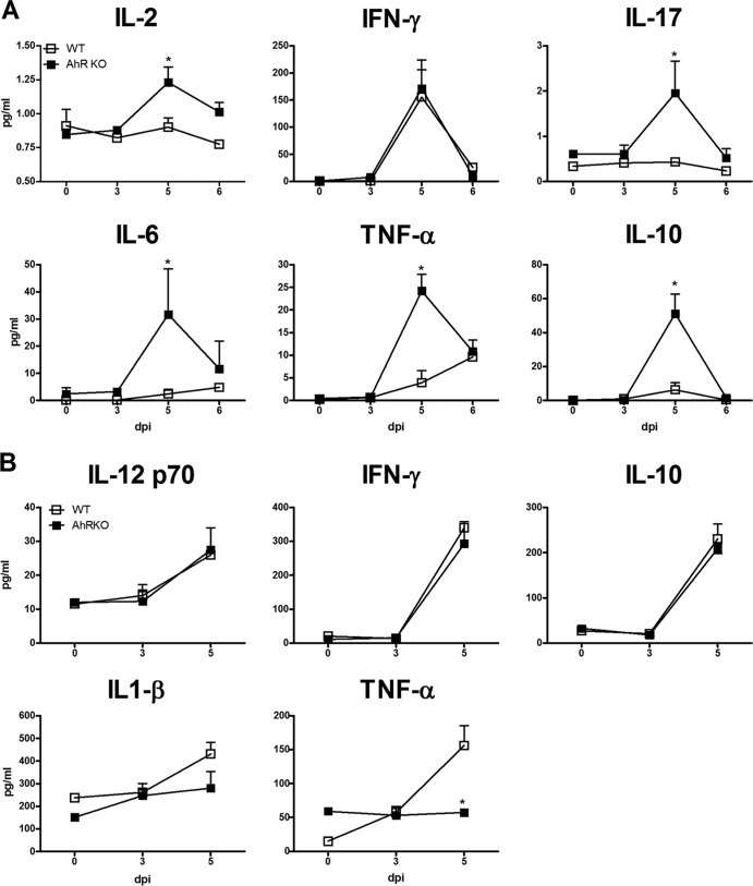 FIG 6