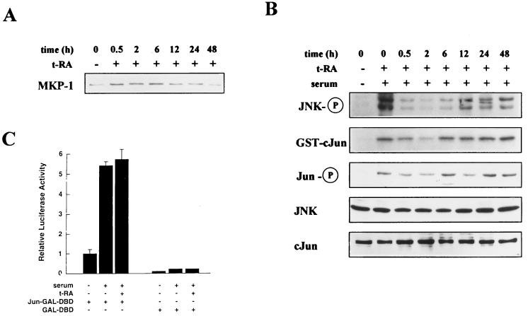 FIG. 7