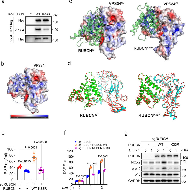 Fig. 10