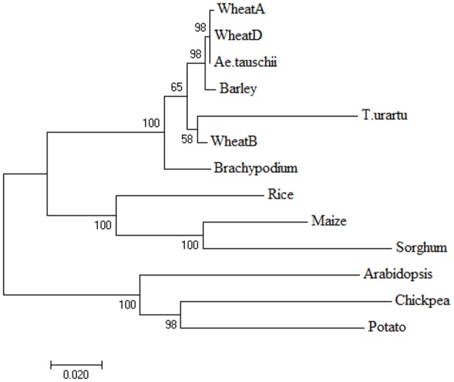 Figure 9