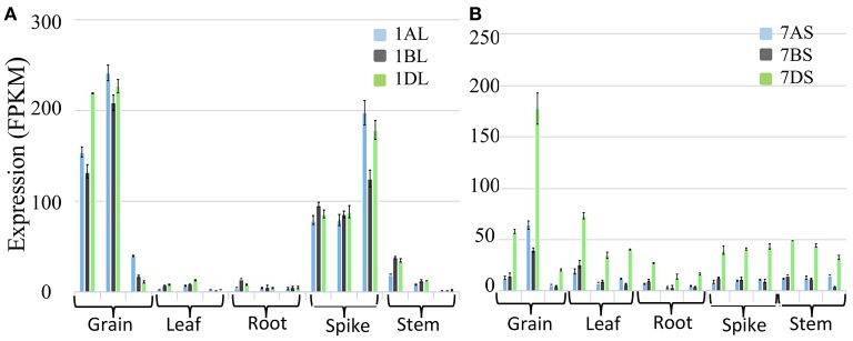 Figure 11