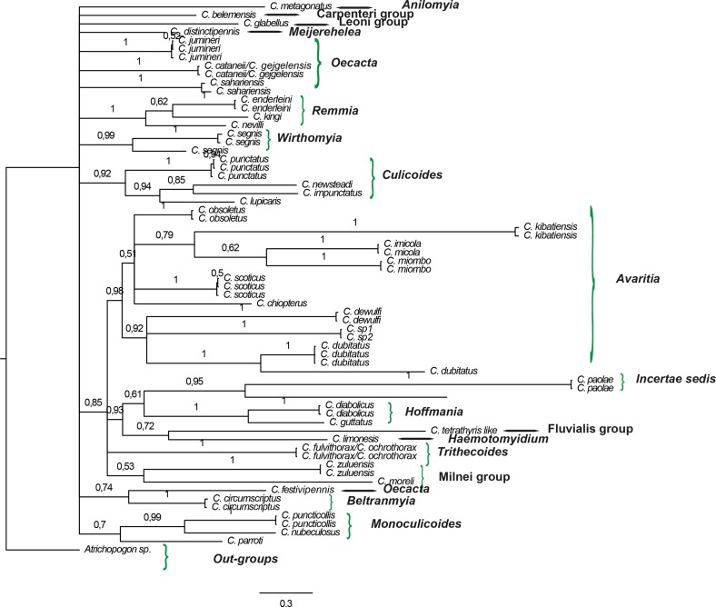 Appendix 2.