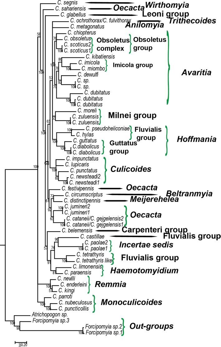 Figure 5.