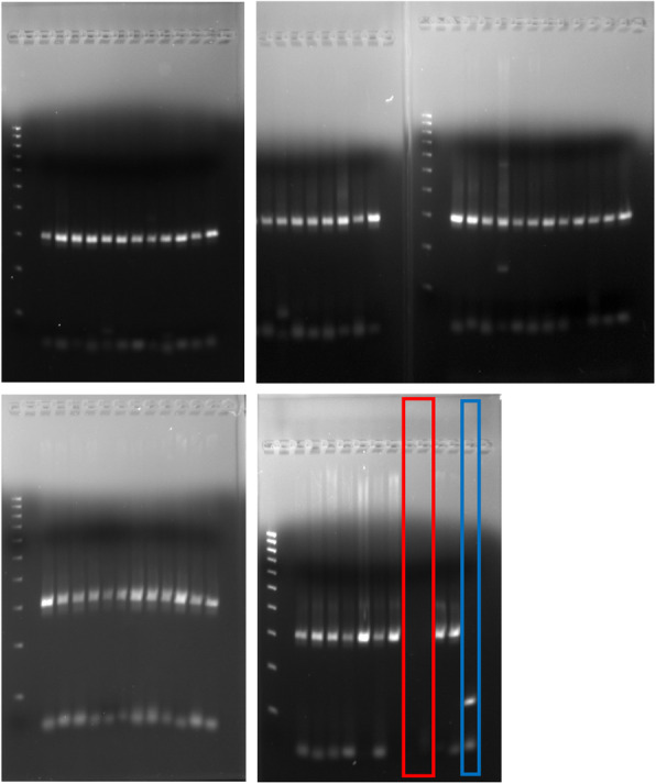 Fig. 5
