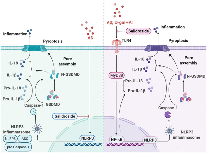 Figure 11