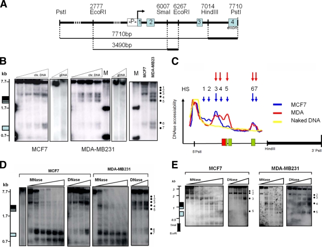 FIG. 4.