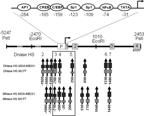 FIG. 7.